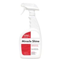 Miracle Shine Kirby