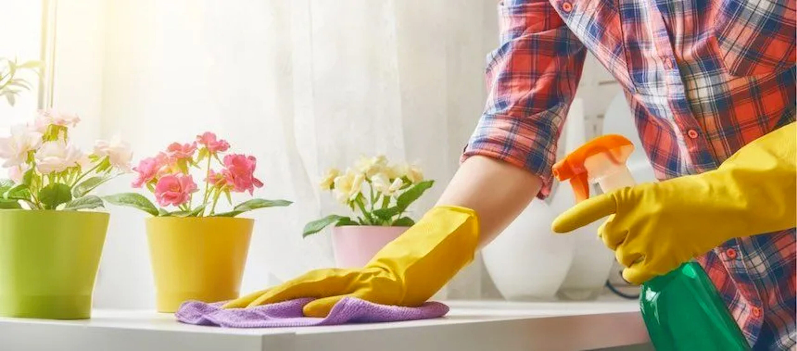 Spring Cleaning Tips